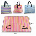 Outdoor Picnic Mat and Bag Combination